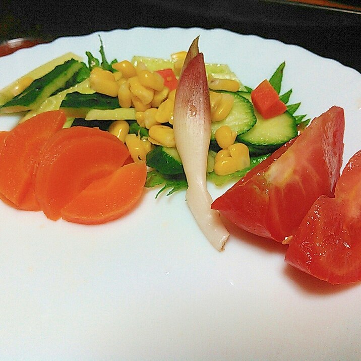彩り綺麗な夏野菜サラダ